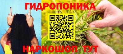 ГАЛЛЮЦИНОГЕННЫЕ ГРИБЫ Тула