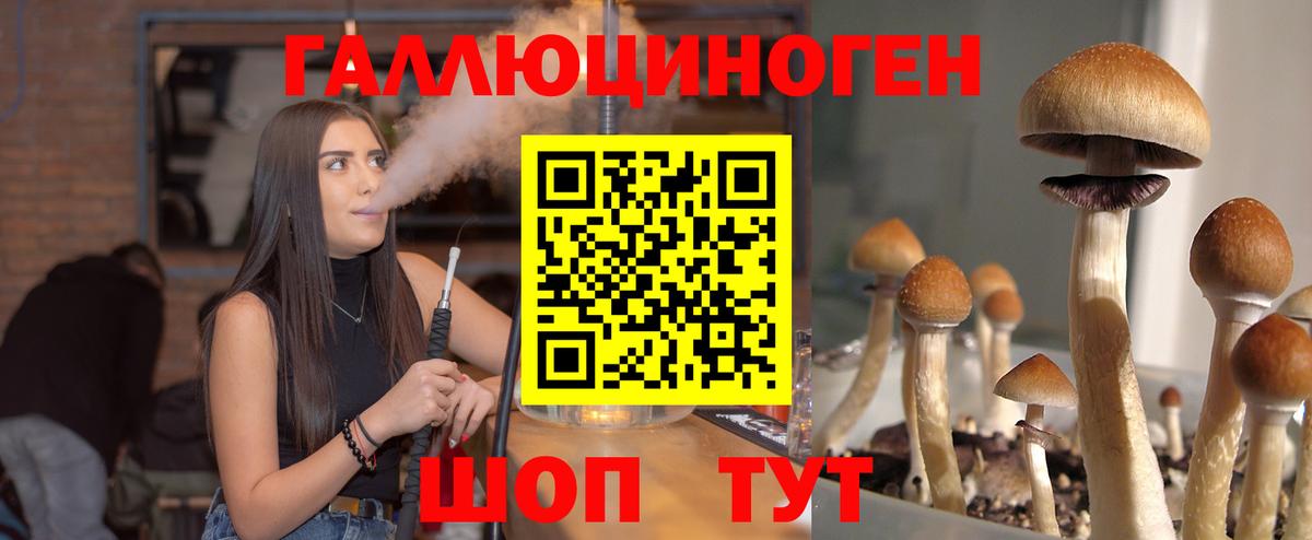 Галлюциногенные грибы Psilocybe Борзя